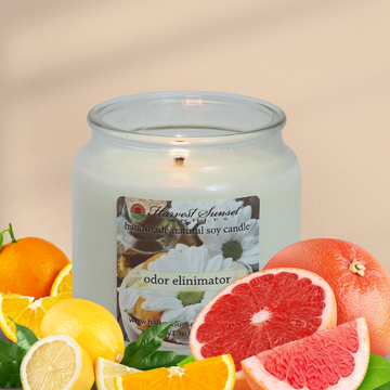 Odor Eliminator