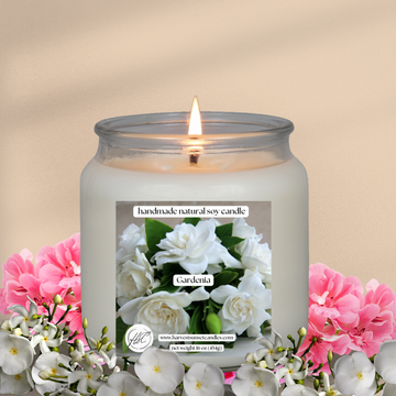 Gardenia - Elegant blooms