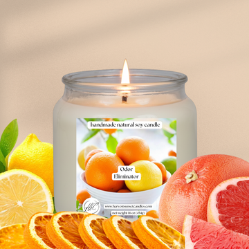 Odor Eliminator - Refreshing Citrus