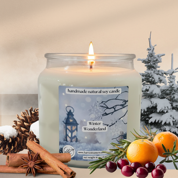 Winter Wonderland - Orange, Clove, Evergreen