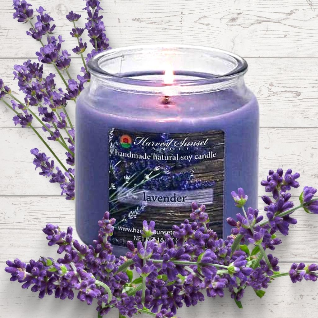 Lavender