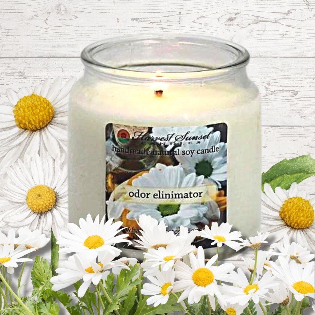 Odor Eliminator